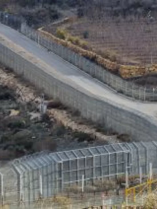 Border and site protection