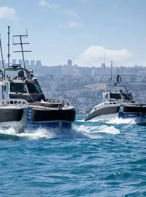 Seagull usv