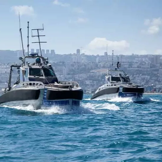 Seagull usv